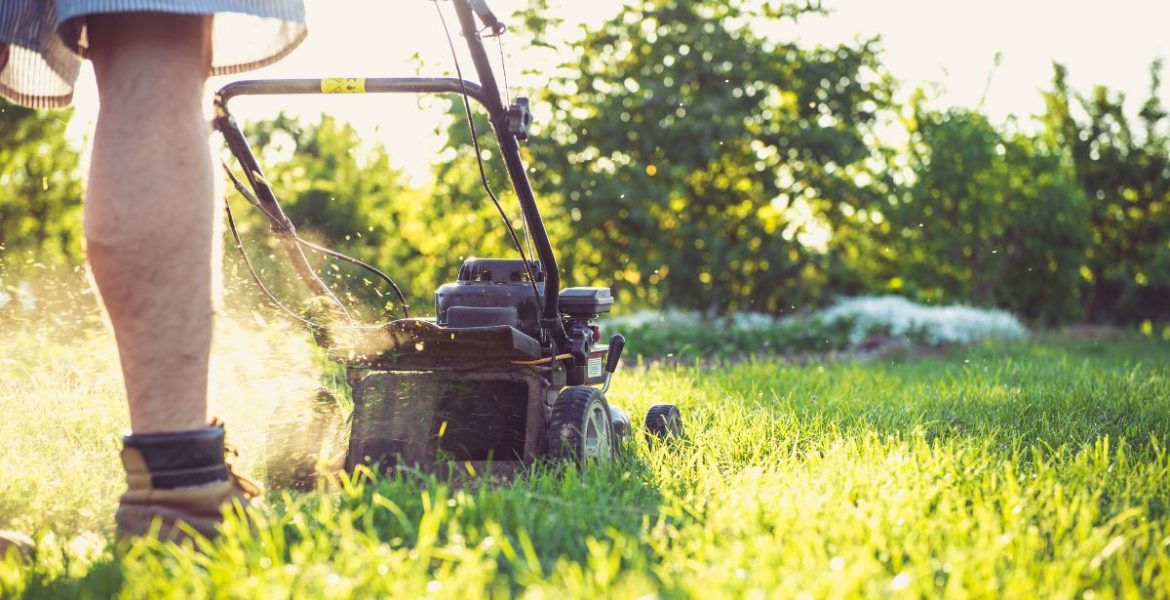 Gras onderhouden door te grasmaaien